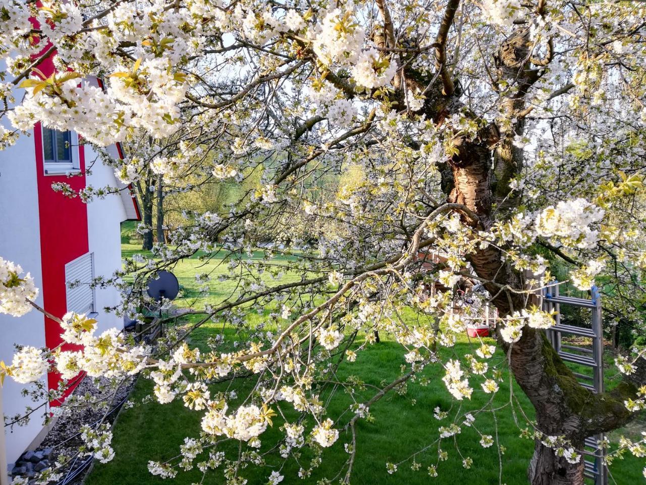 Ferienhaus Görmer mit Wasserbett Schmölln Exterior foto