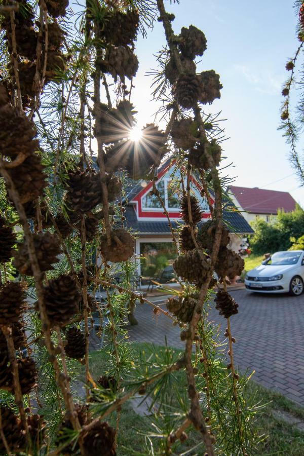 Ferienhaus Görmer mit Wasserbett Schmölln Exterior foto
